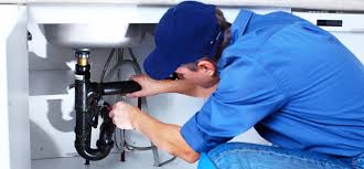 Professional Plumbing  in Whitney, SC